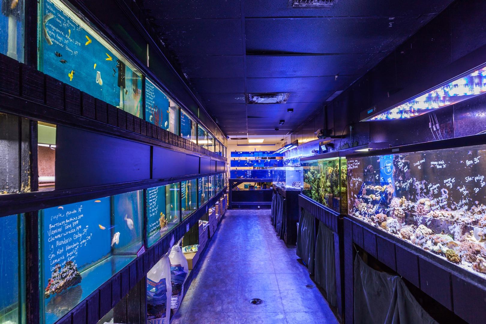 About Us - Melbourne, Palm Bay, Rockledge | Nahacky's Aquarium
