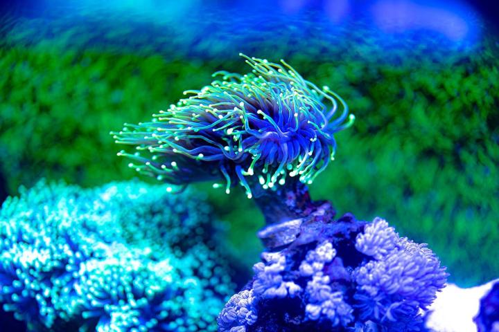 Pond Supplies Melbourne