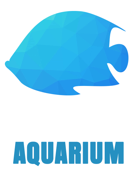 Nahacky's Aquarium